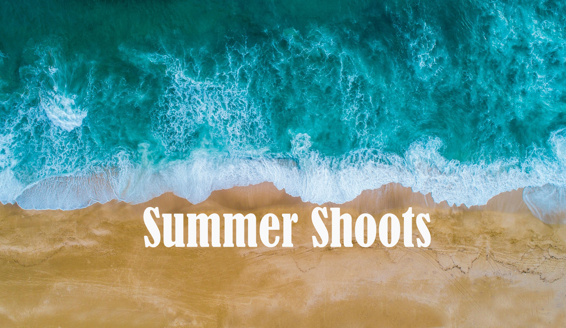 Summer Shoots