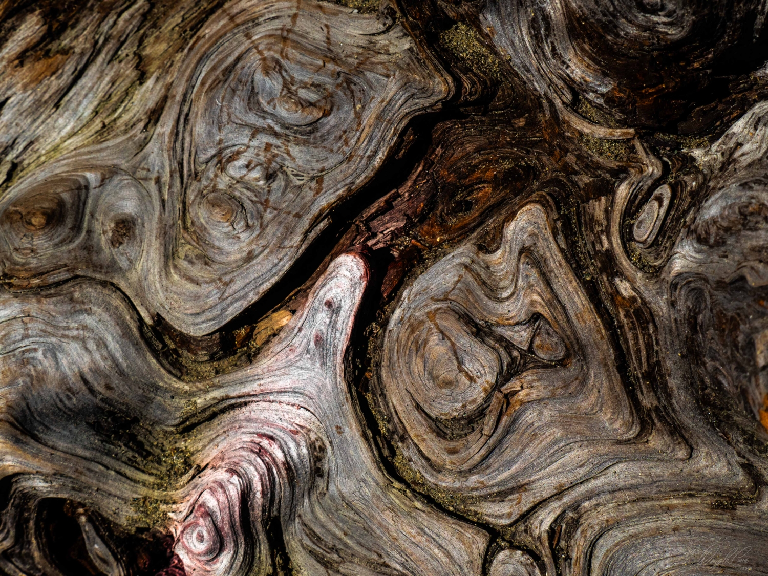 Swirls of wood grain