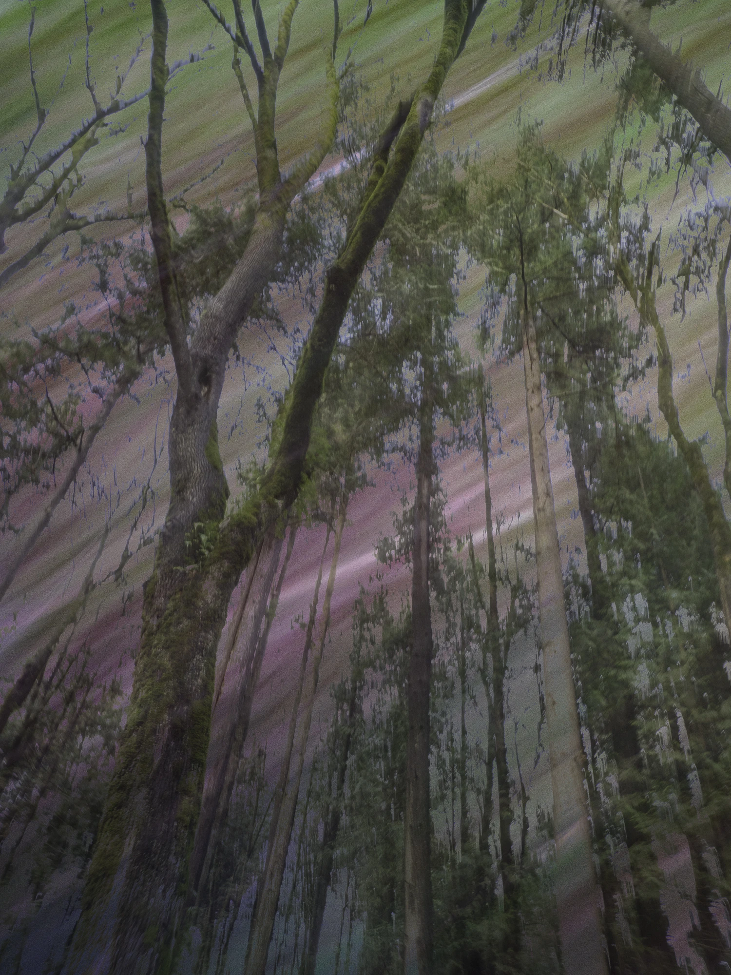 Long Exposure - Derek Rundell